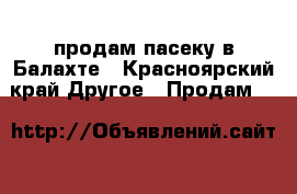 продам пасеку в Балахте - Красноярский край Другое » Продам   